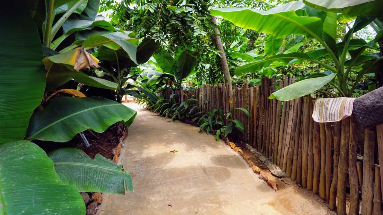 The Family Kingdom Resort Freetown Luaran gambar